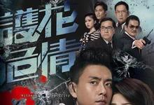 护花危情全集 2012港剧.HD1080P 迅雷下载-沐风文化