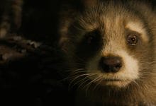 漫威电影《银河护卫队3》高清资源上线 附四部曲电影合集，更新字幕-沐风文化